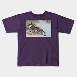 Thomson's Gazelles at the Moru River, Serengeti, Tanzania Kids T-Shirt